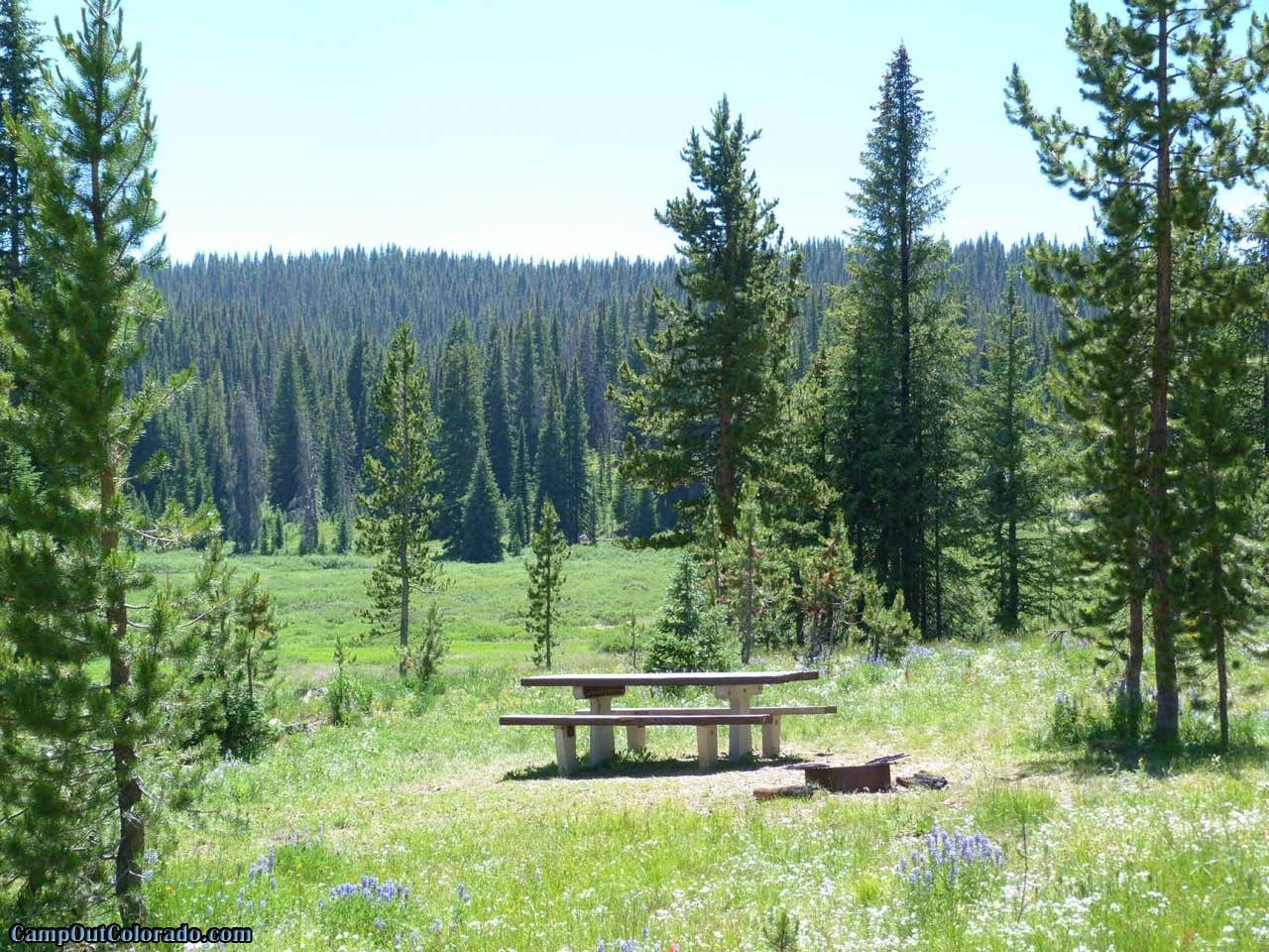 Camper-submitted photo at Meadows Campground near Yampa, CO