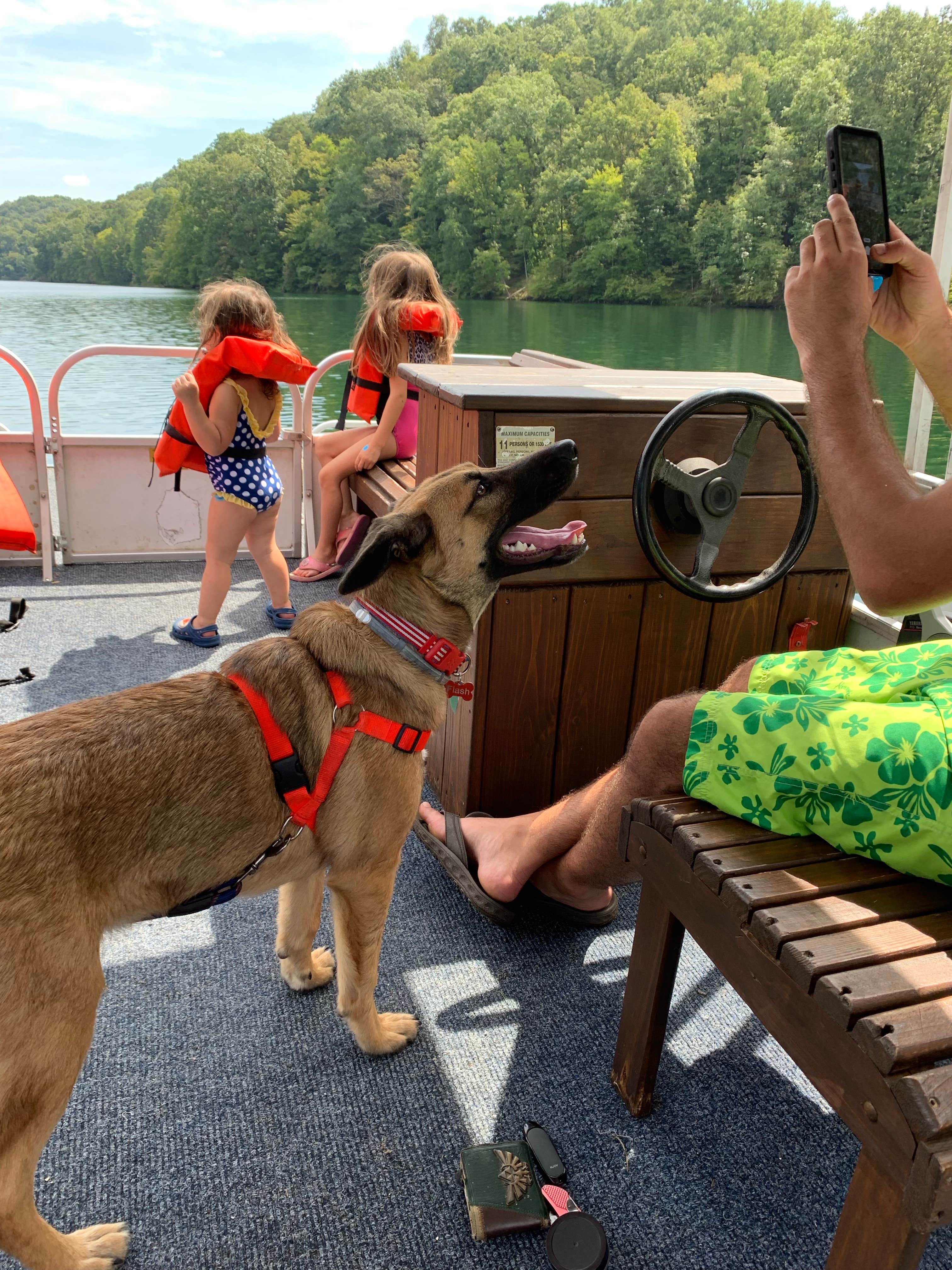 Brittany I.'s photo of camping with pets at Greenbo Lake State Resort Park near Louisa, KY