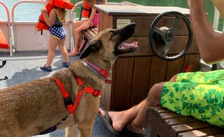 Brittany I.'s photo of camping with pets at Greenbo Lake State Resort Park near Hanging Rock, OH