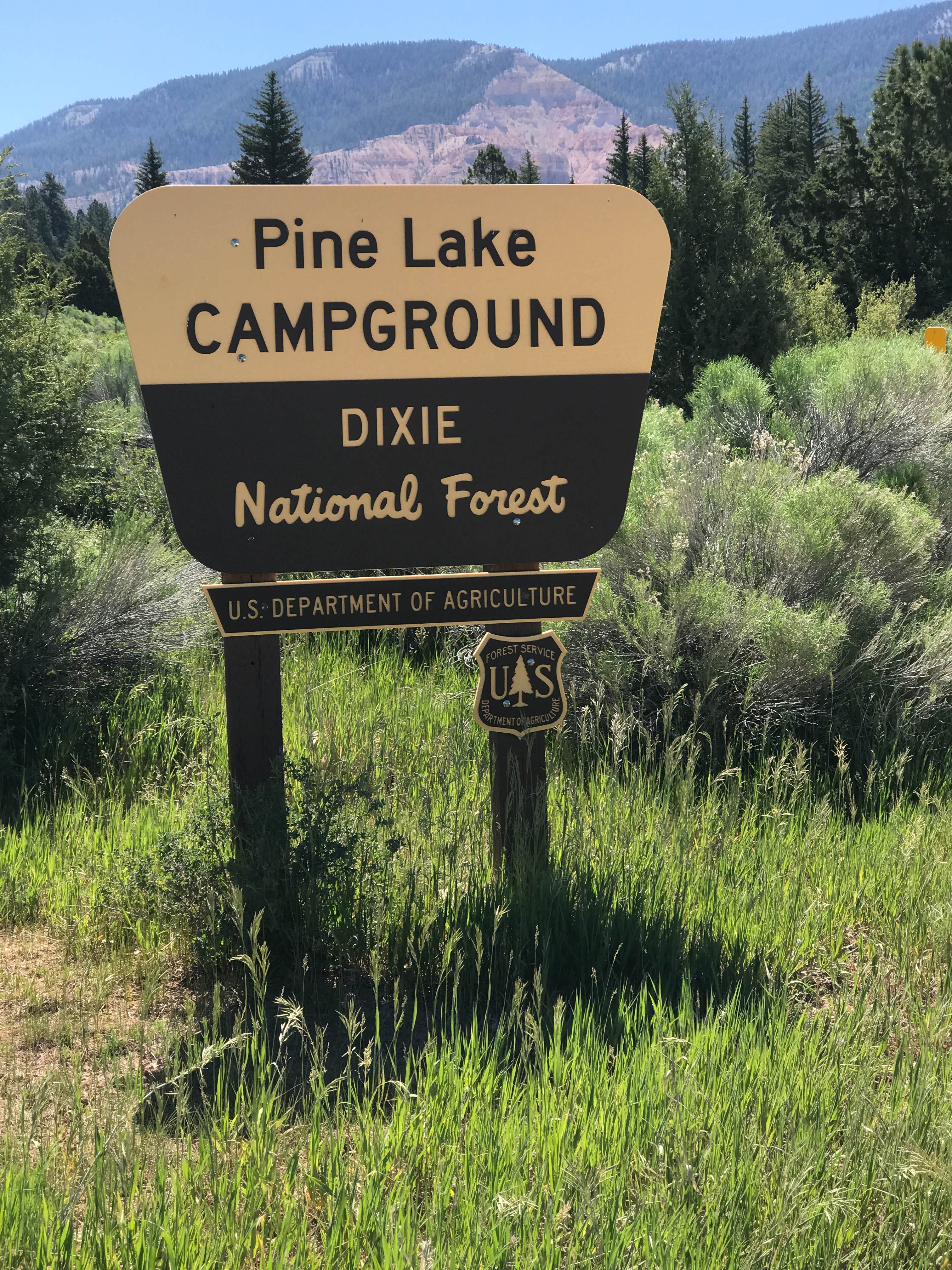 Pine Lake Campground The Dyrt