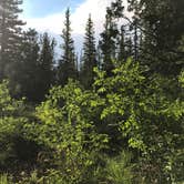 Review photo of Pine Lake Campground by sunshine M., September 3, 2019