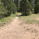 Review photo of Pine Lake Campground by sunshine M., September 3, 2019