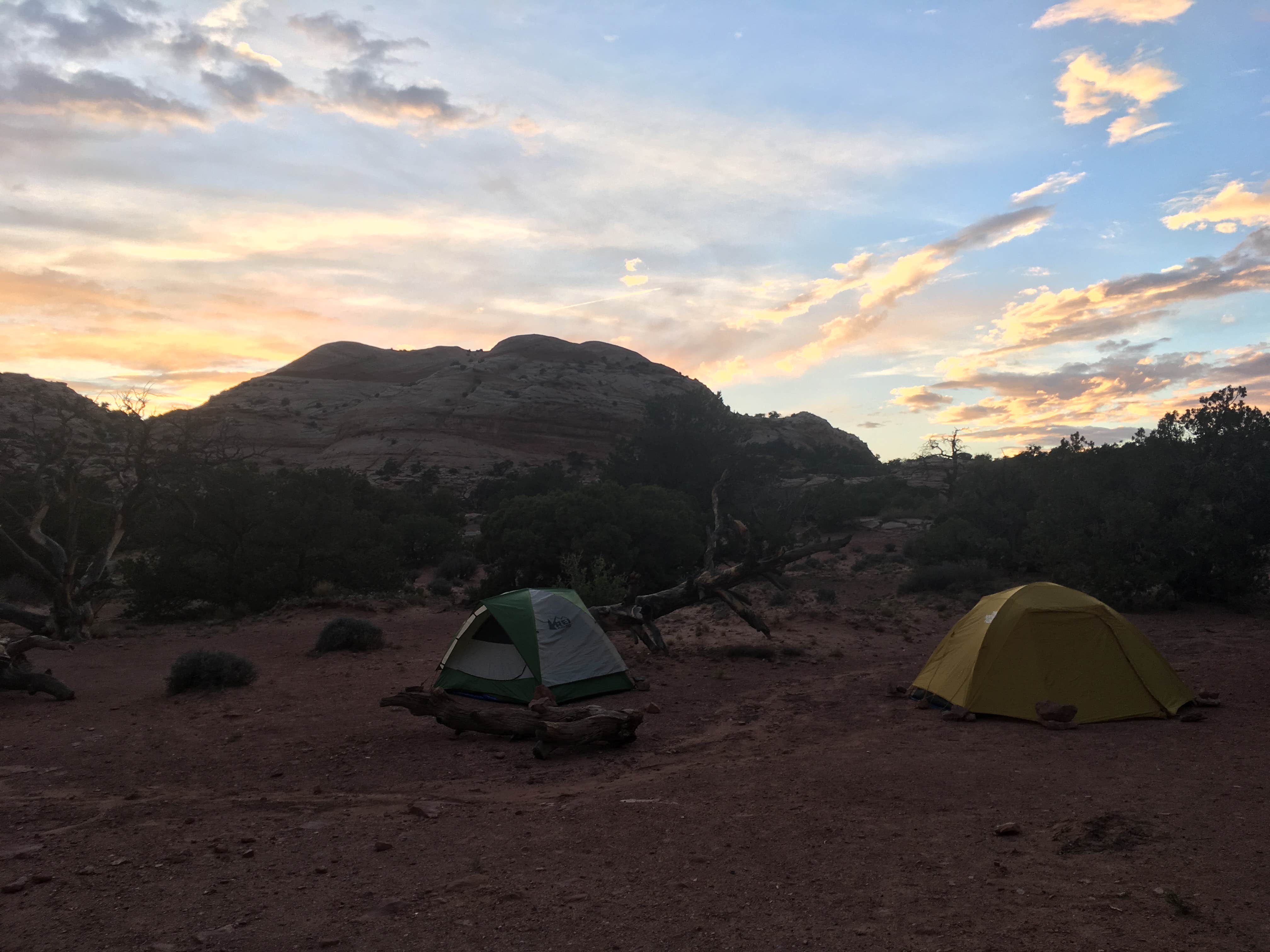 Lis G.'s photo at Island In The Sky (Willow Flat) Campground — Canyonlands National Park near Canyonlands National Park