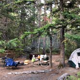 Review photo of Cougar Rock Campground — Mount Rainier National Park by Christopher D., September 3, 2019