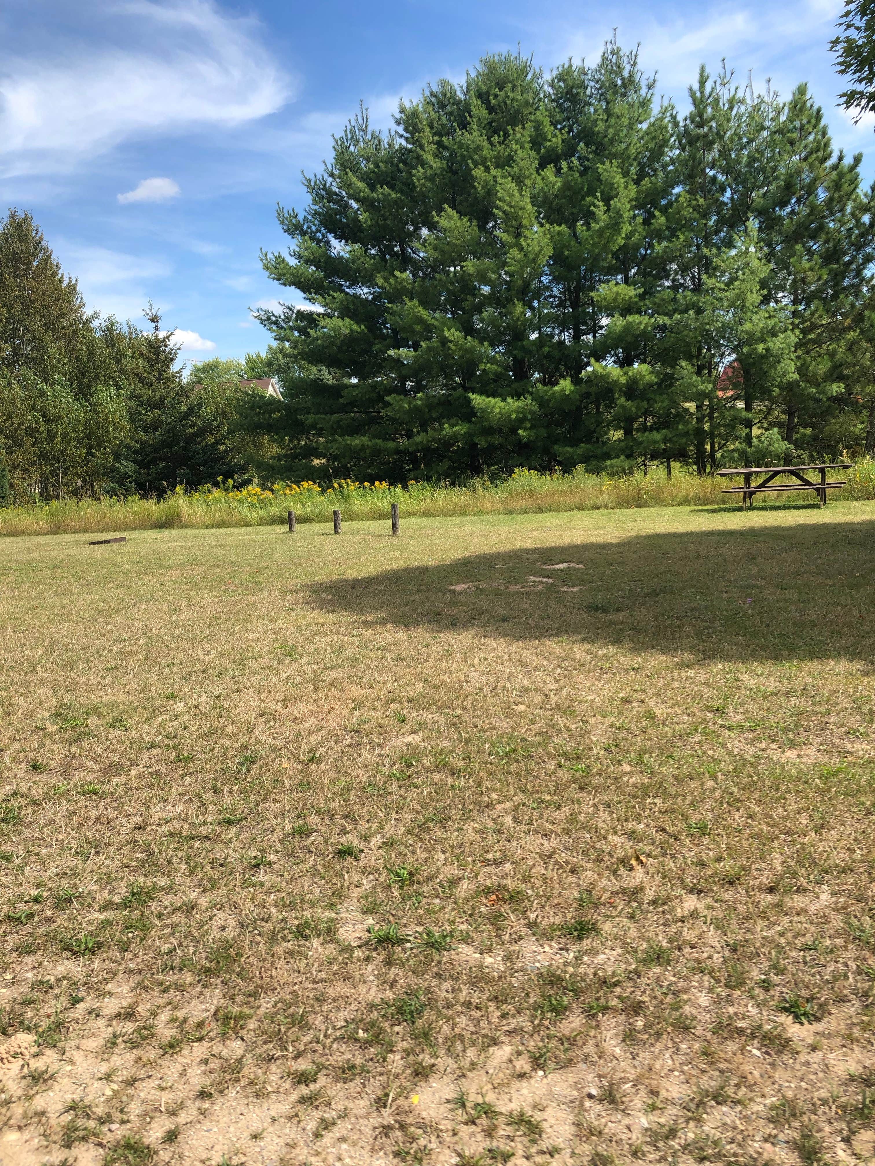 Camper submitted image from McCollum Lake State Forest Campground - 2