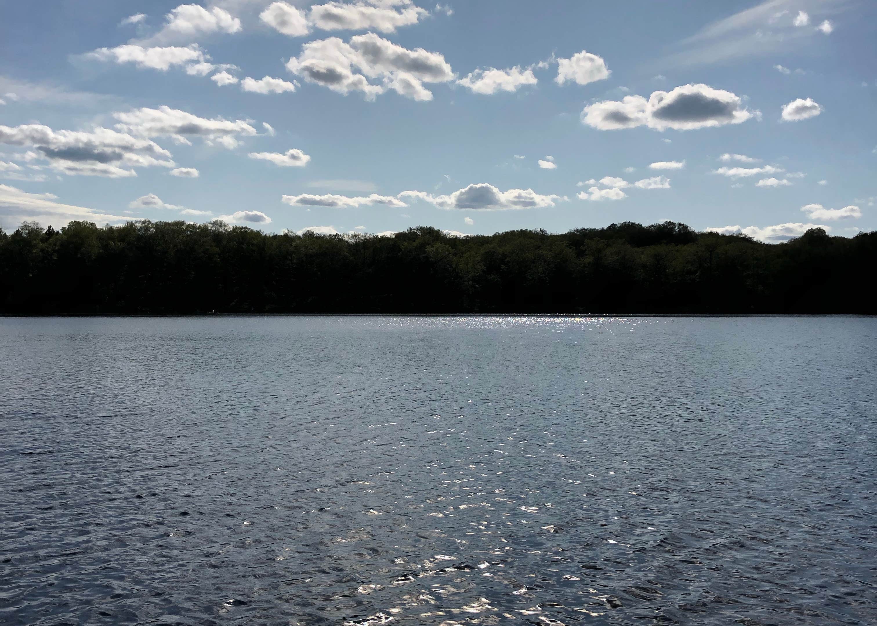 McCollum Lake State Forest Campground Camping The Dyrt