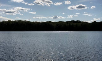 Camping near Gabions Campground: McCollum Lake State Forest Campground, Curran, Michigan