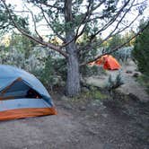 Review photo of Smith Rock State Park Campground by Lisa H., June 28, 2016