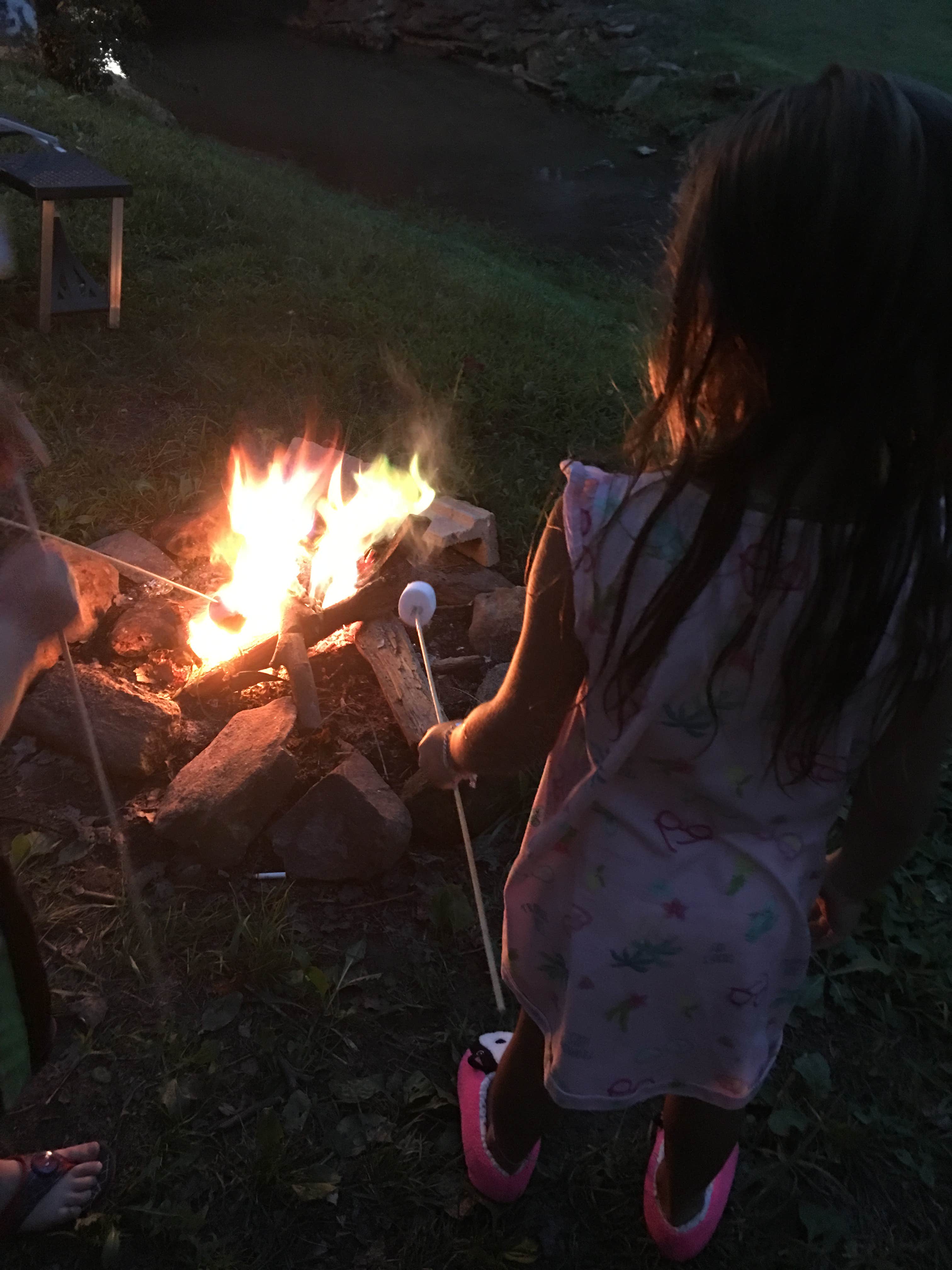 Camper-submitted photo at Homeplace Recreational Park Inc. near Summerfield, NC