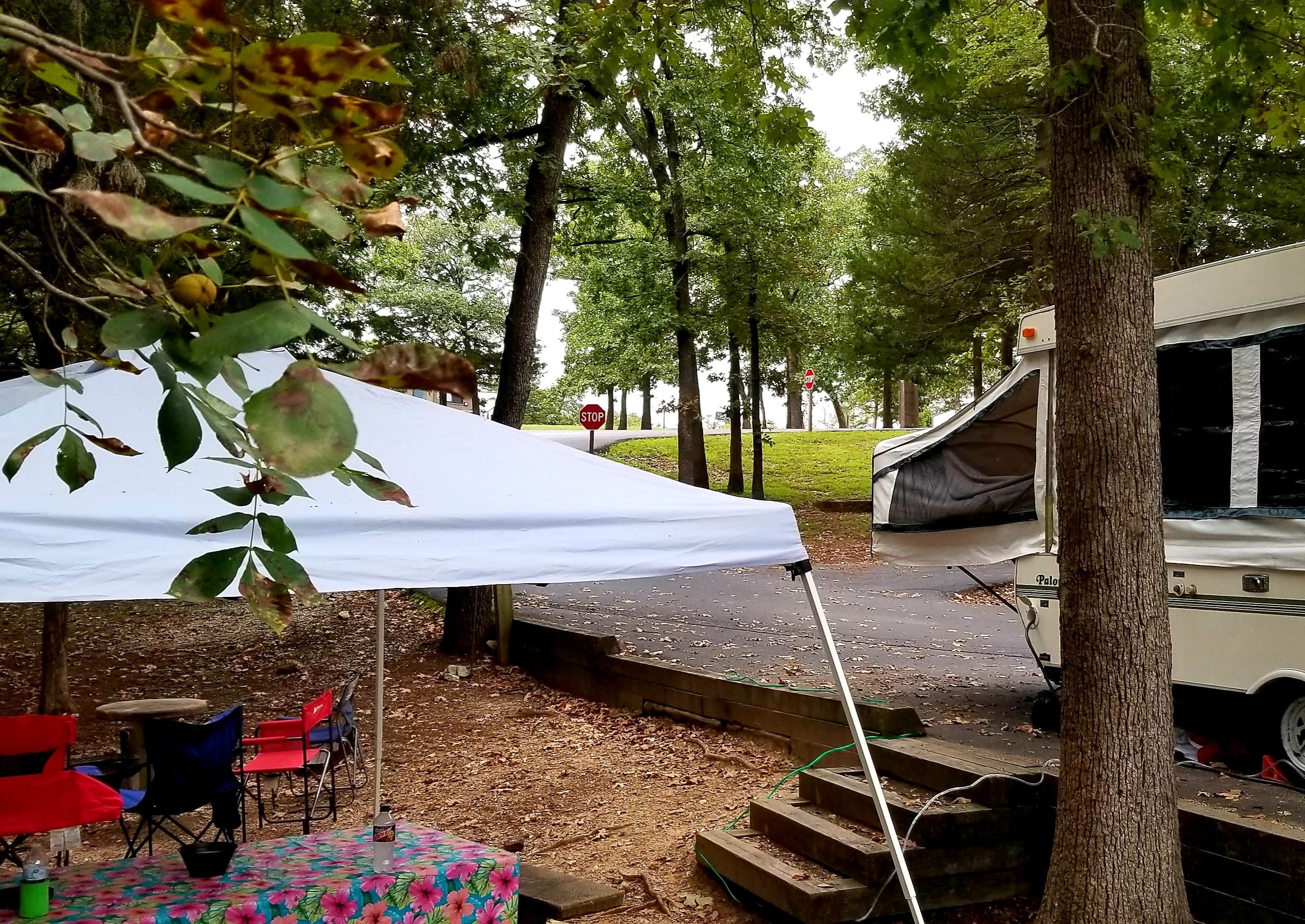 Camper submitted image from Indian Point - 4