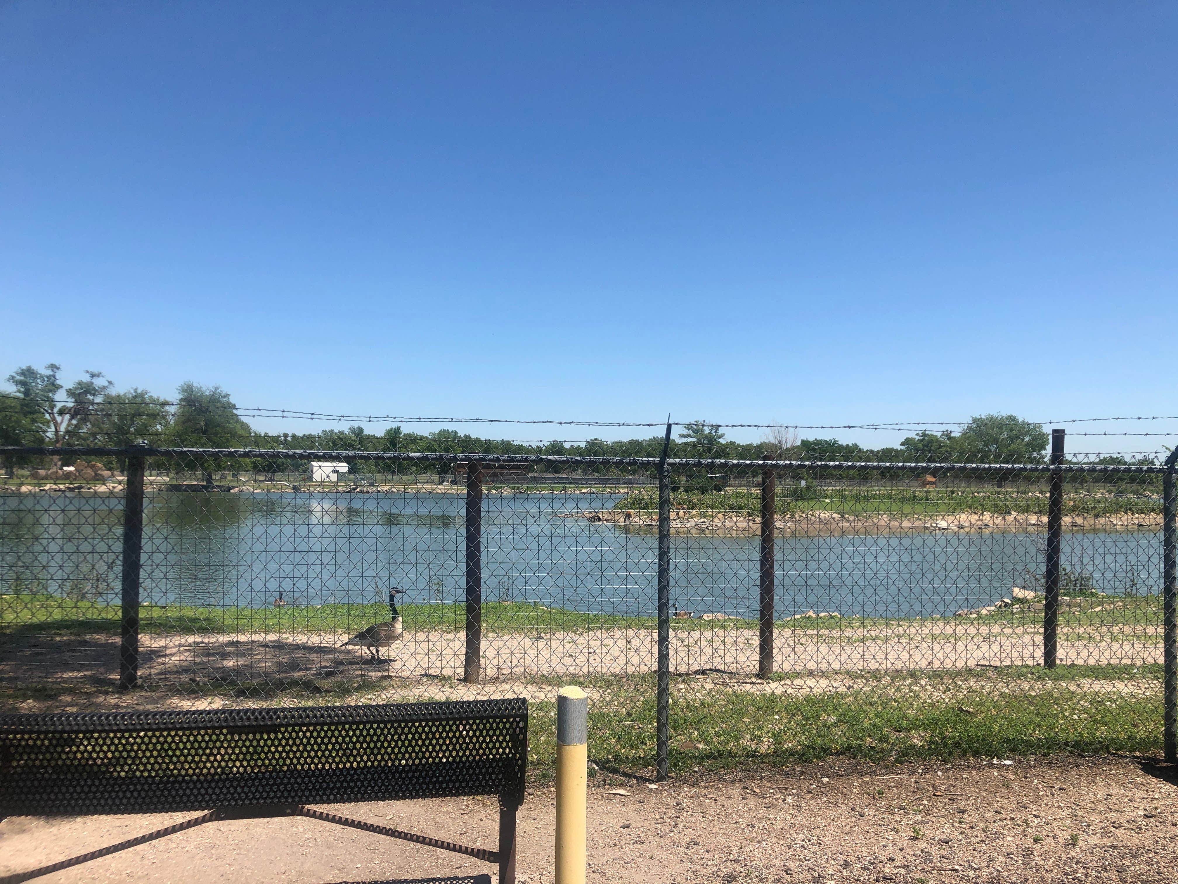 Camper submitted image from Cody City Park Campground - 2