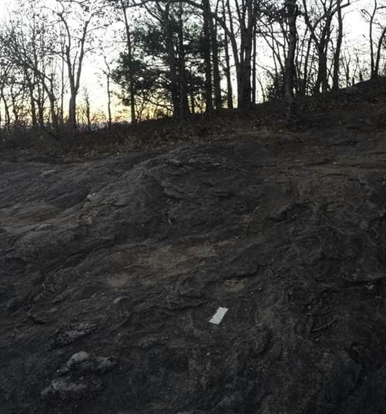 Camper-submitted photo at Woody Gap Campground - Appalachian Trail near Murrayville, GA
