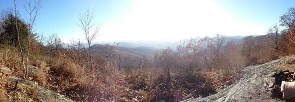 Camper-submitted photo at Woody Gap Campground - Appalachian Trail near Murrayville, GA