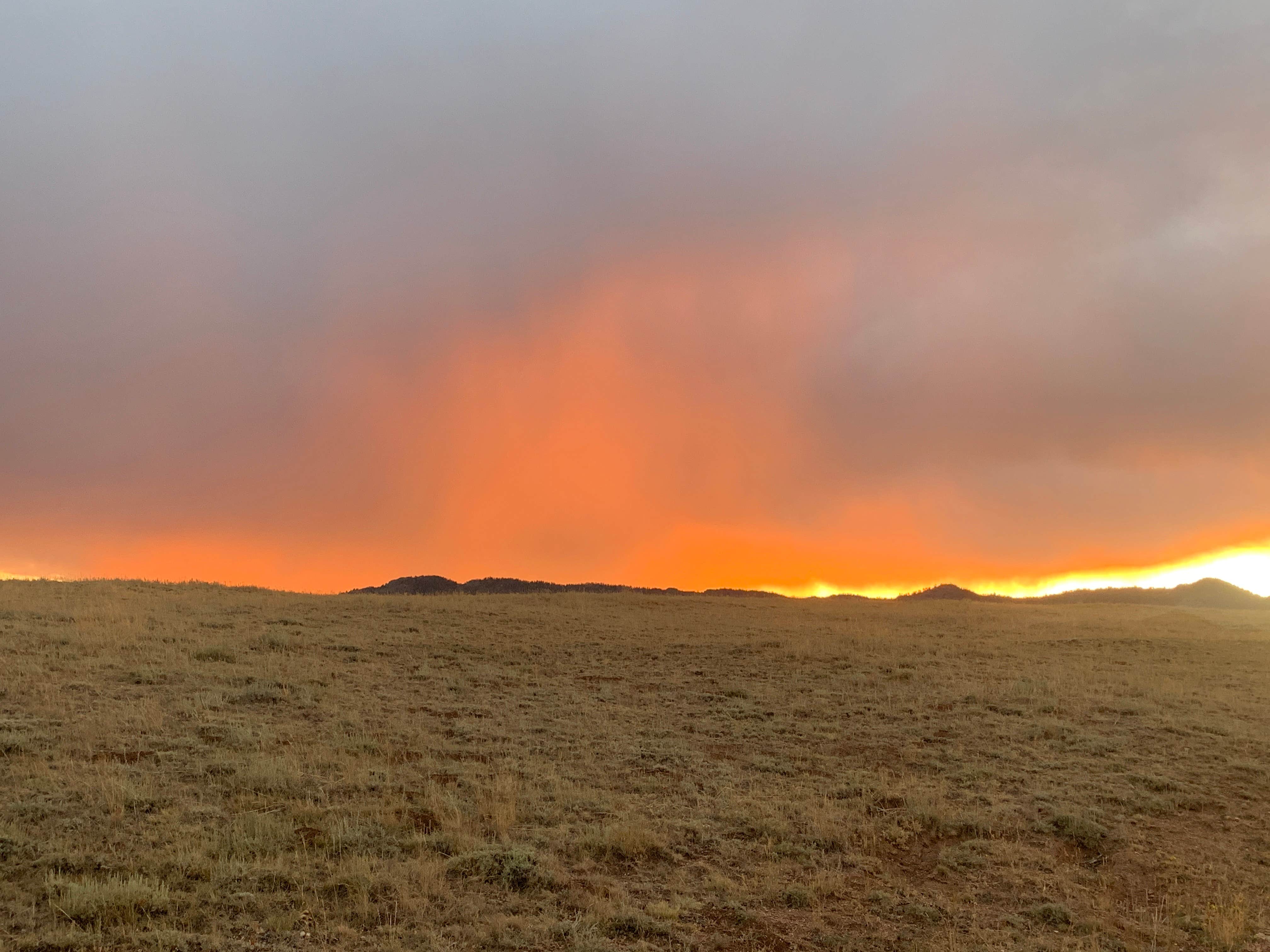 Andrew N.'s photo of a dispersed camping area at Pole Mountain Dispersed Camping near Cheyenne, WY