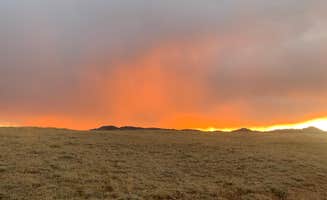 Andrew N.'s photo of a dispersed camping area at Pole Mountain Dispersed Camping near Rock River, WY