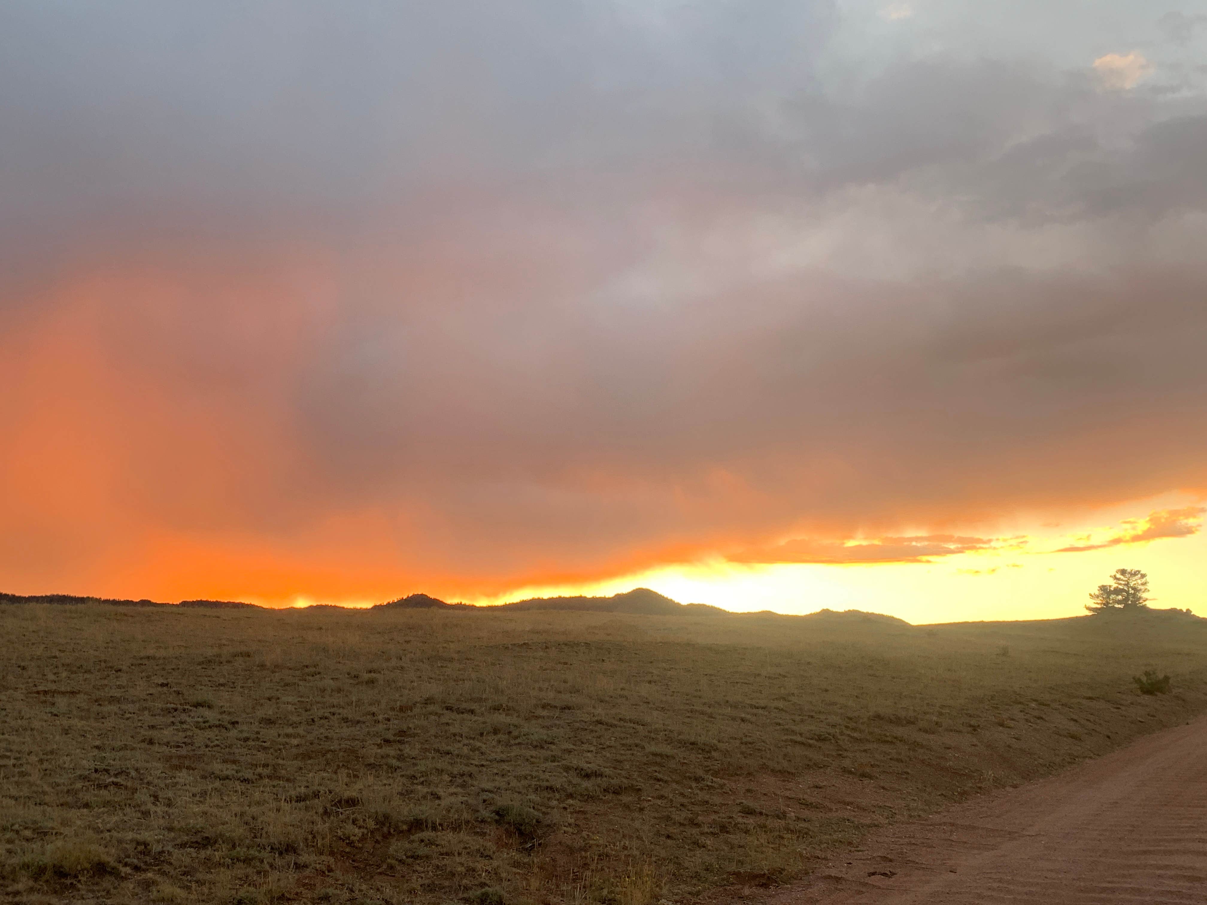 Camper-submitted photo at Pole Mountain Dispersed Camping near Buford, WY