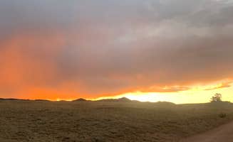 Andrew N.'s photo of a dispersed camping area at Pole Mountain Dispersed Camping near Laramie, WY