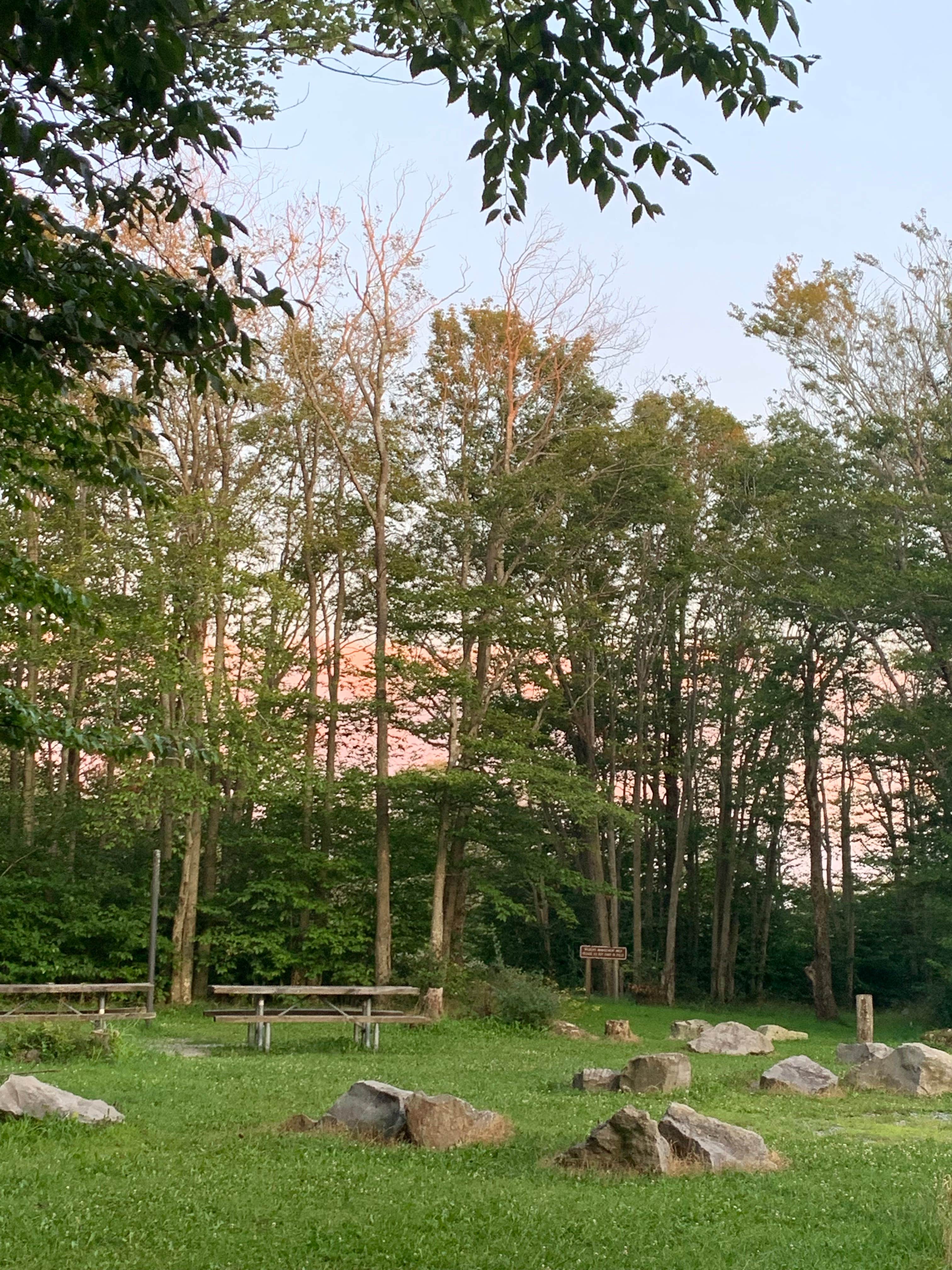 Spruce Knob Lake Campground