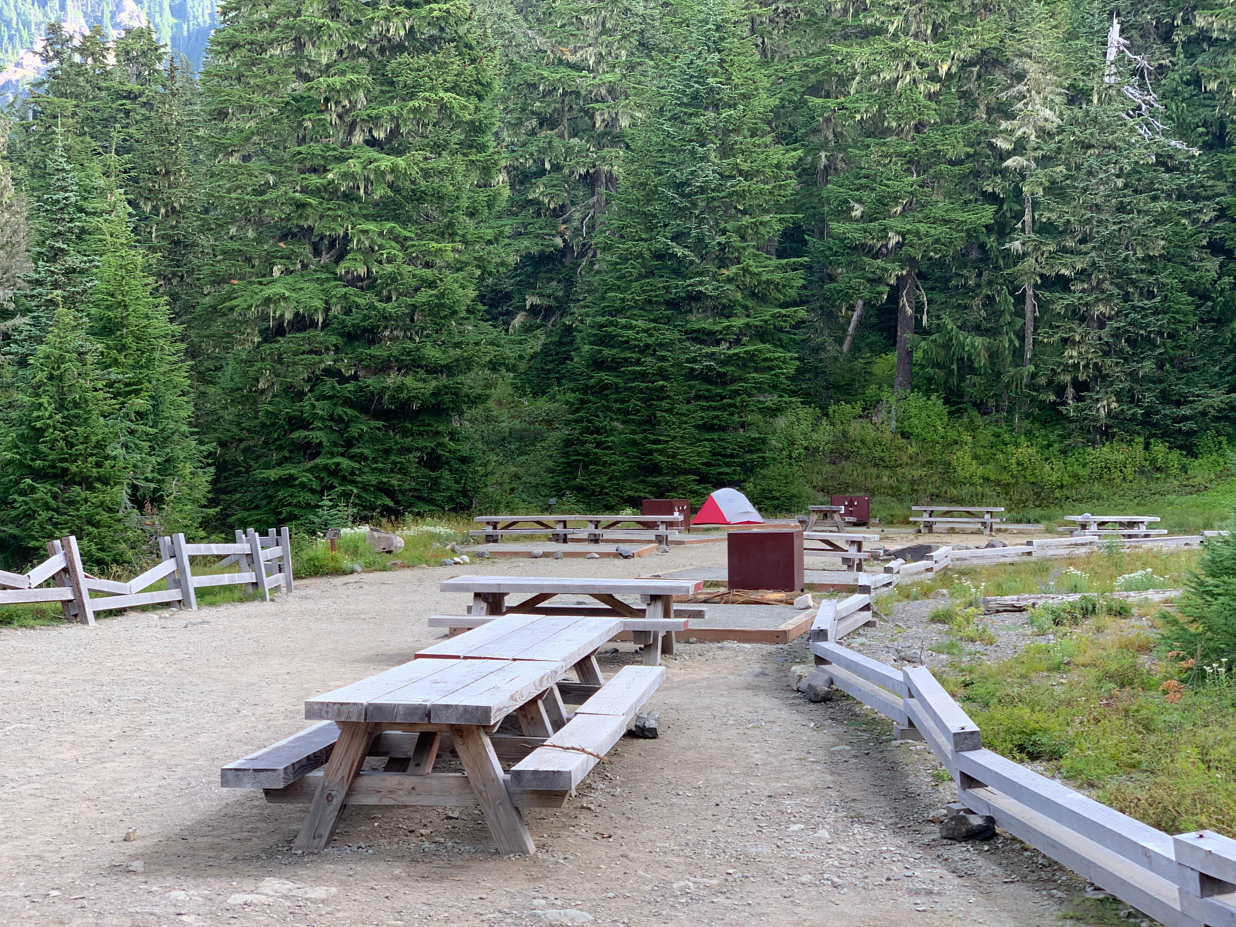 Kier S.'s photo of tent camping at Mowich Lake Campground — Mount Rainier National Park near Lake Tapps, WA