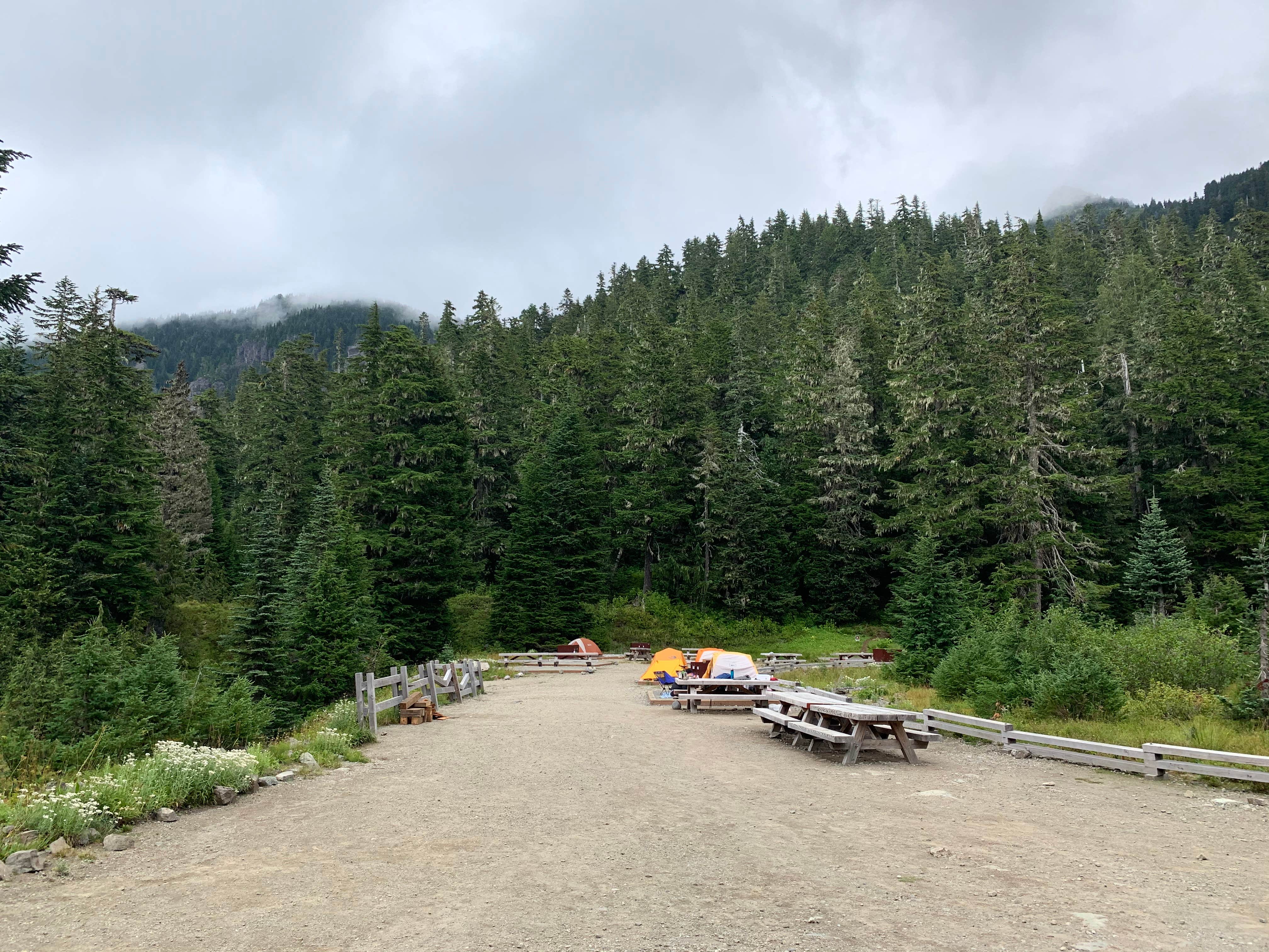 Camper submitted image from Mowich Lake Campground — Mount Rainier National Park - 4