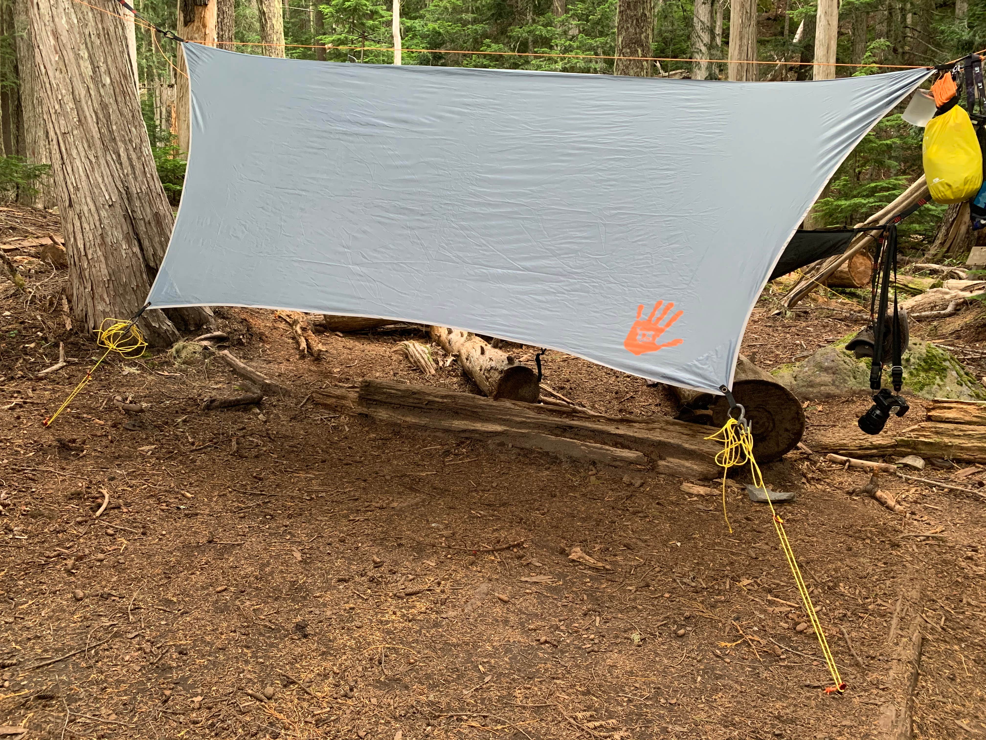 Camper-submitted photo at Eagles Roost Camp — Mount Rainier National Park near Lake Tapps, WA