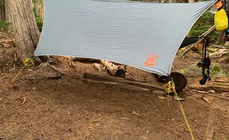Kier S.'s photo of tent camping at Eagles Roost Camp — Mount Rainier National Park near Des Moines, WA