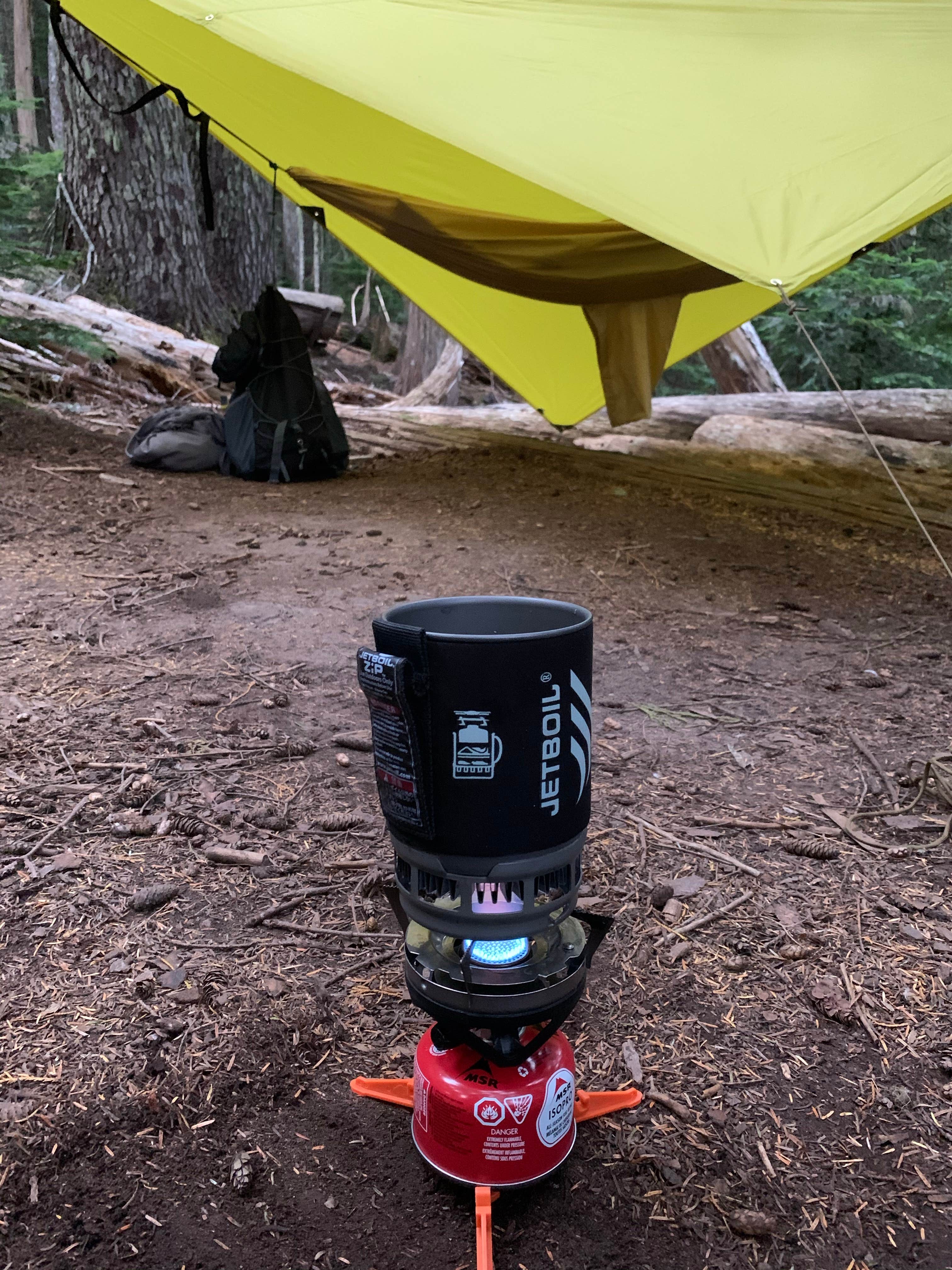 Camper submitted image from Eagles Roost Camp — Mount Rainier National Park - 1