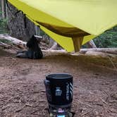 Review photo of Eagles Roost Camp — Mount Rainier National Park by Kier S., September 4, 2019