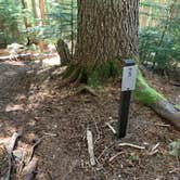 Review photo of Eagles Roost Camp — Mount Rainier National Park by Kier S., September 4, 2019