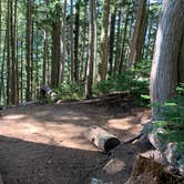 Review photo of Eagles Roost Camp — Mount Rainier National Park by Kier S., September 4, 2019