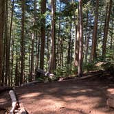 Review photo of Eagles Roost Camp — Mount Rainier National Park by Kier S., September 4, 2019