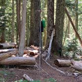 Review photo of Eagles Roost Camp — Mount Rainier National Park by Kier S., September 4, 2019