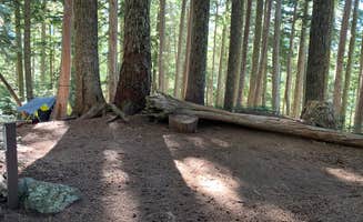 Kier S.'s photo at Eagles Roost Camp — Mount Rainier National Park near Elbe, WA