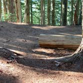 Review photo of Eagles Roost Camp — Mount Rainier National Park by Kier S., September 4, 2019