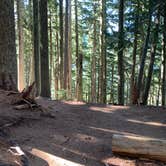 Review photo of Eagles Roost Camp — Mount Rainier National Park by Kier S., September 4, 2019