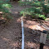 Review photo of Eagles Roost Camp — Mount Rainier National Park by Kier S., September 4, 2019