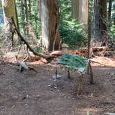 Review photo of Eagles Roost Camp — Mount Rainier National Park by Kier S., September 4, 2019