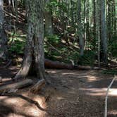 Review photo of Eagles Roost Camp — Mount Rainier National Park by Kier S., September 4, 2019