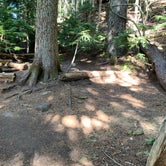Review photo of Eagles Roost Camp — Mount Rainier National Park by Kier S., September 4, 2019