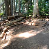 Review photo of Eagles Roost Camp — Mount Rainier National Park by Kier S., September 4, 2019