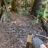 Review photo of Eagles Roost Camp — Mount Rainier National Park by Kier S., September 4, 2019