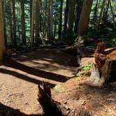 Review photo of Eagles Roost Camp — Mount Rainier National Park by Kier S., September 4, 2019