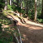 Review photo of Eagles Roost Camp — Mount Rainier National Park by Kier S., September 4, 2019