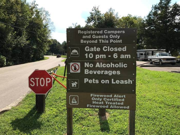 Camper submitted image from Obey River Park - 5