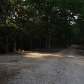 Review photo of Taylor Bay Campground by Daniel  B., August 4, 2017