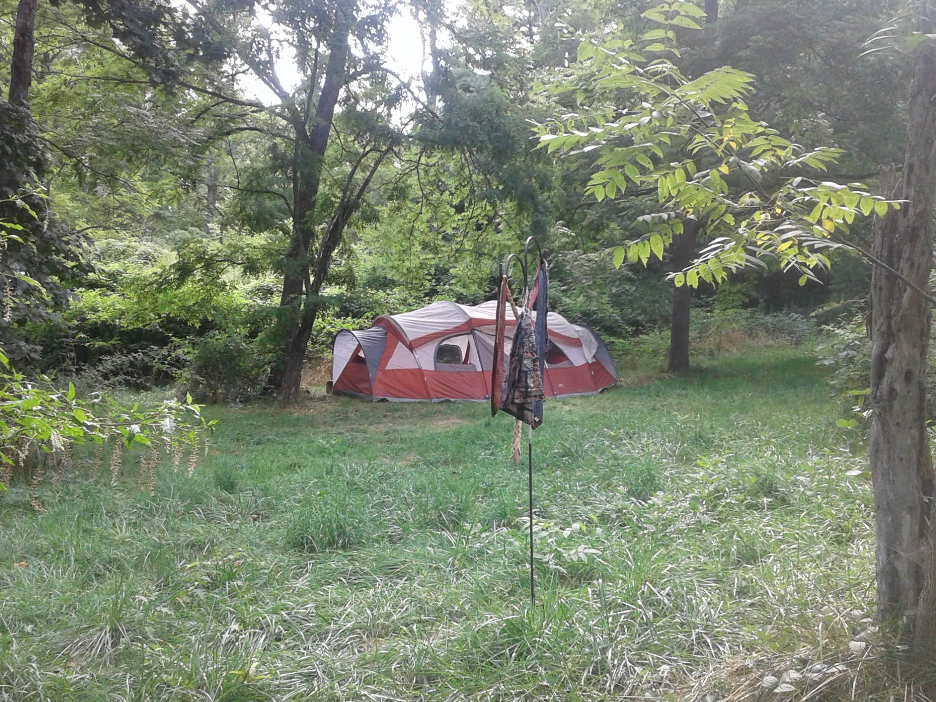 The Dyrt's photo of tent camping at Shaushkah's Delight near Buchanan, VA