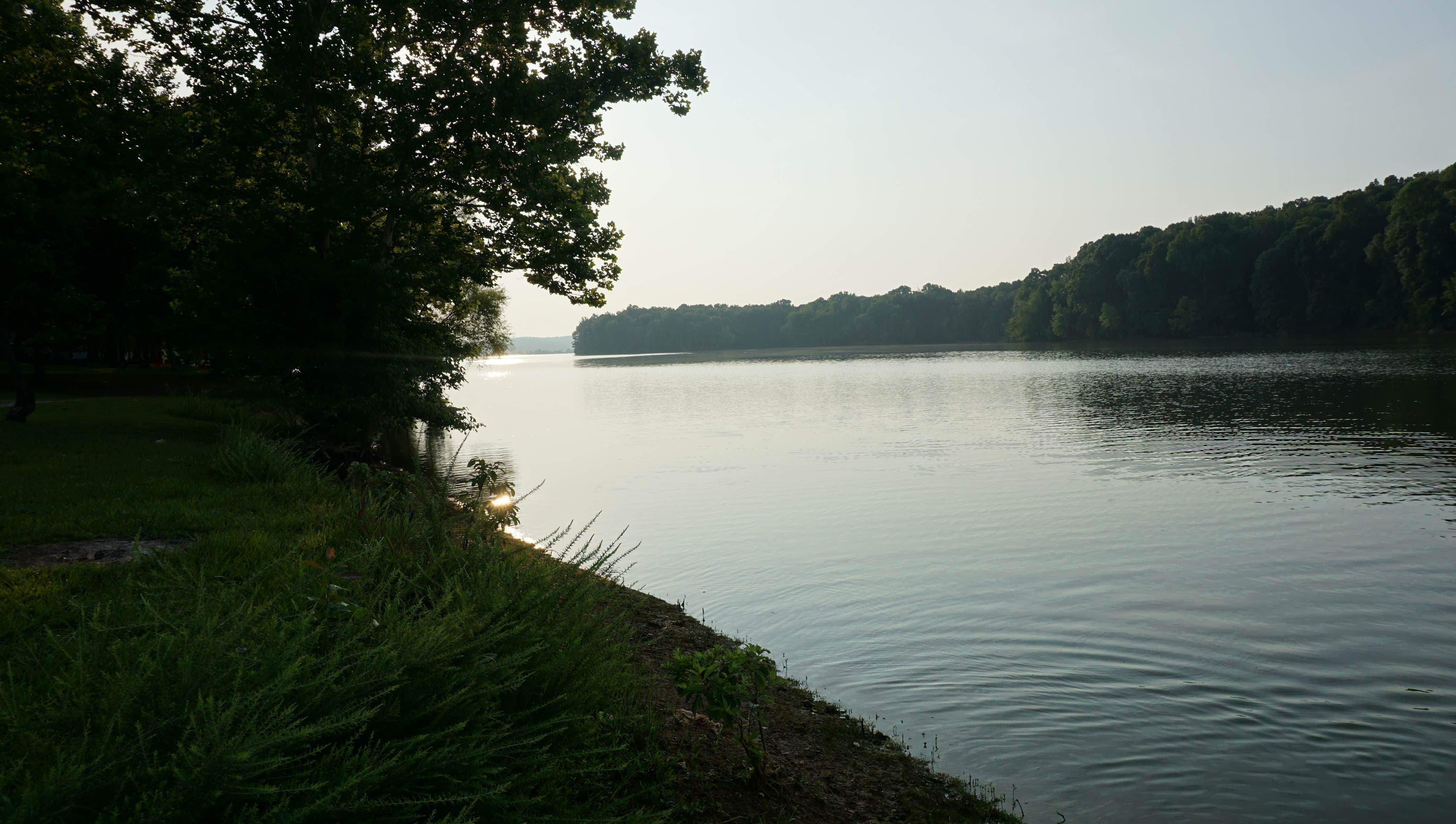 Camper submitted image from Taylor Bay Campground - 4