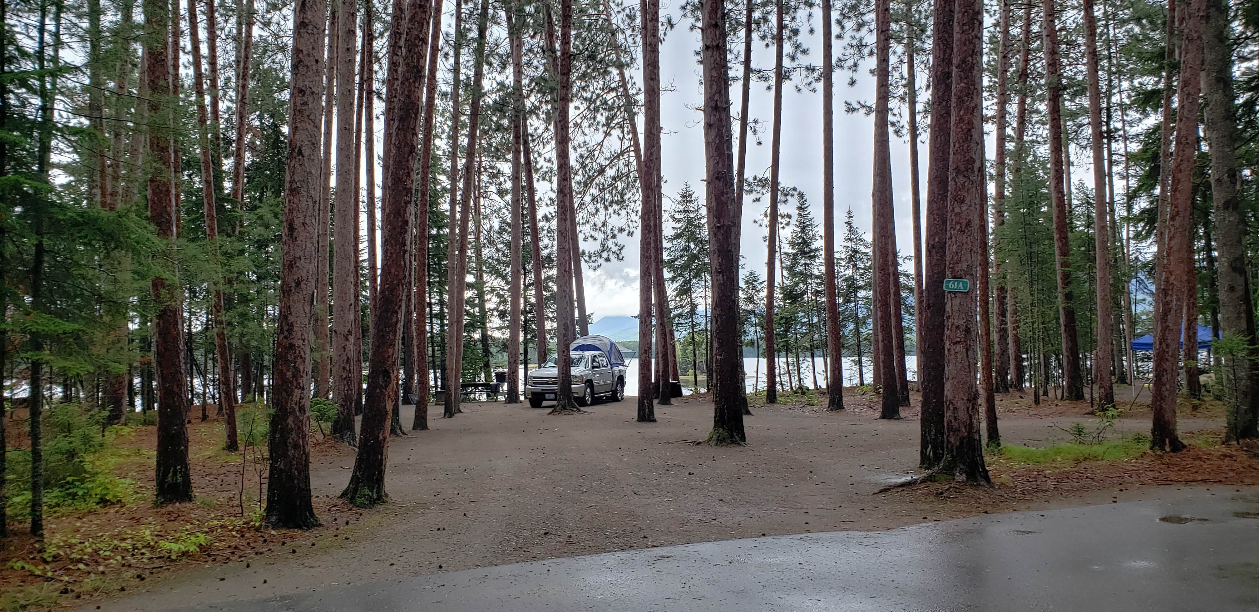 Camper-submitted photo at Cathedral Pines Campground near Carrabassett Valley, ME