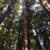 Review photo of Lost Lake Resort And Campground — Mt. Hood National Forest by Heather W., August 5, 2017