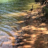 Review photo of Red Top Mountain State Park Campground by Cami G., September 4, 2019